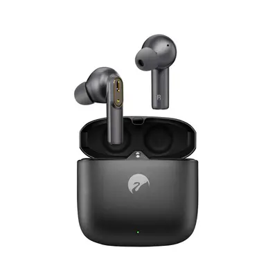 Swan AW-30 Earphone 官网产品图