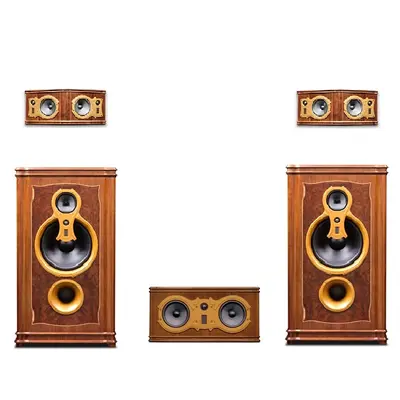 Swan F10 官网产品图