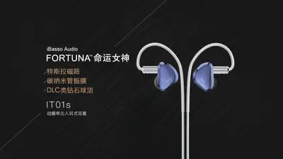 IT01s 官网产品图