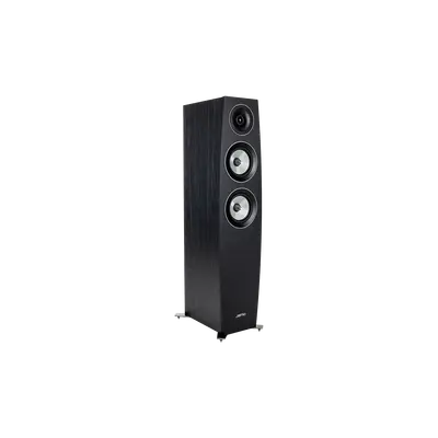 C95 II Floor Standing Speaker 官网产品图