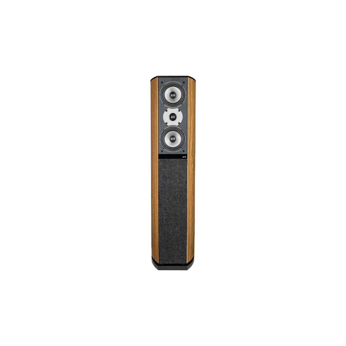 D590 Floor Standing Speaker 官网产品图