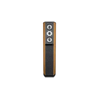 D590 Floor Standing Speaker 官网产品图