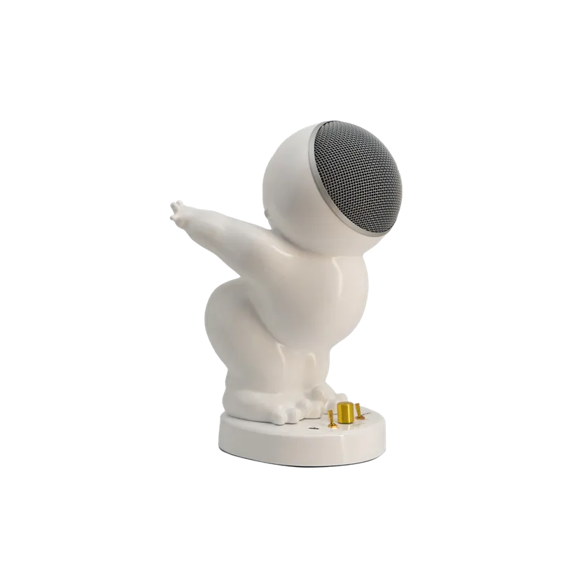 Gwong Tau Zai Speaker 官网产品图
